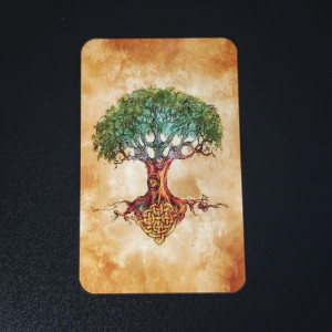 РУНИ КРАЇНИ ЕЛЬФІВ (THE RUNES OF ELFLAND). Photo 2